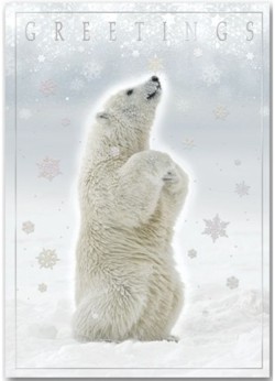 H13654 Polar Bear Holiday Card personalized with your business or personal information at no additional chaqrge