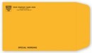 794 9 x 6 Kraft Mailing Envelope personalized with the your business information