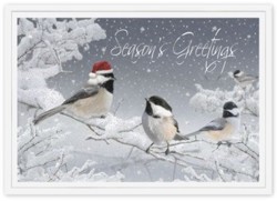H14649 Red-Capped Chickadee Holiday Card pessonalized with your business or personal information