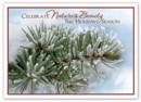 HP15324 Celebrate Nature Recycled Paper Holiday Card personalized with your business or personal information